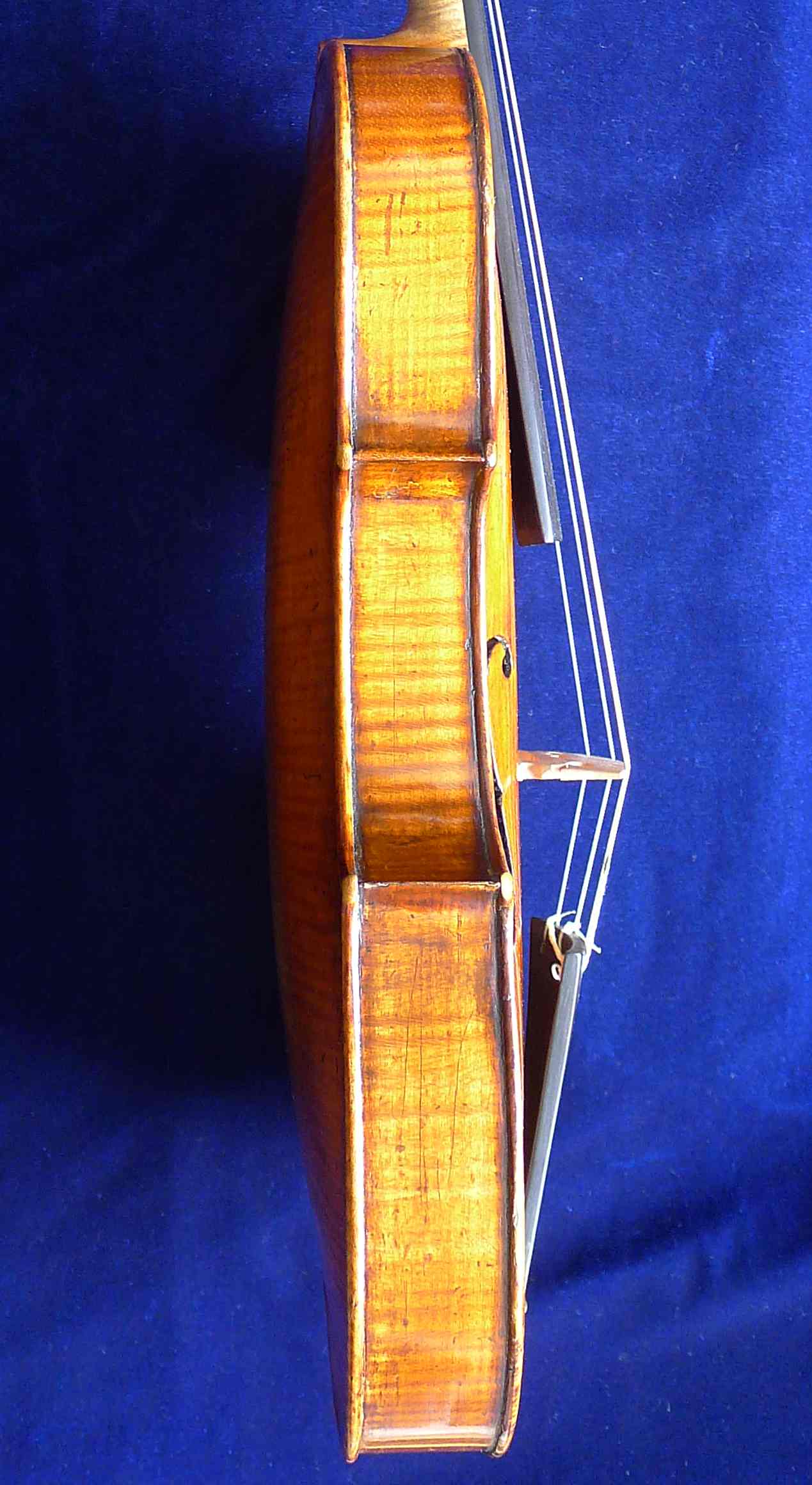 zargen-bass