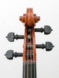 barockvioline_n_stainer_meinelgeigen_2010 (8 von 11)