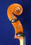 schnecke1