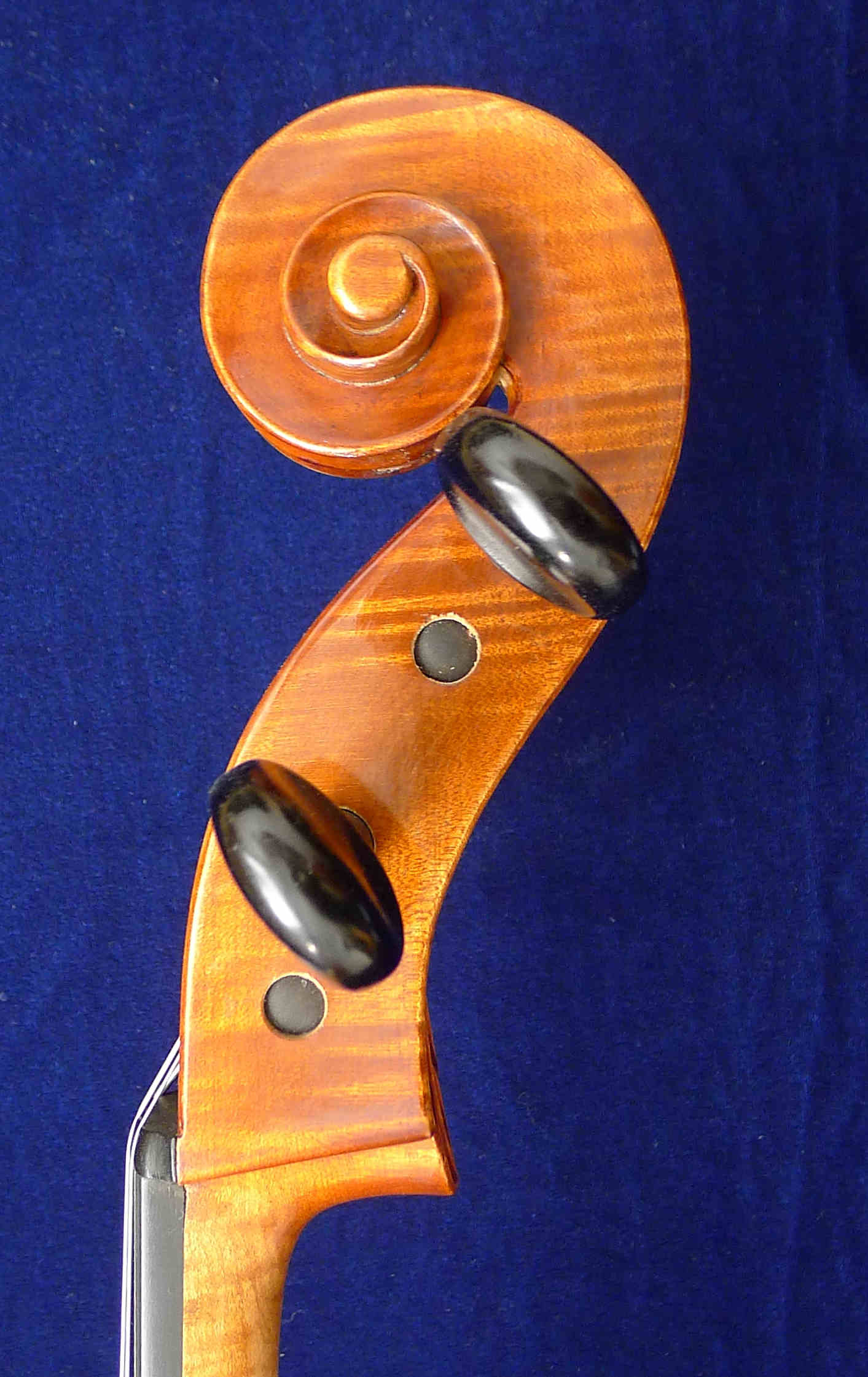 schnecke2