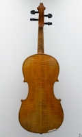 Violine Herwig - hinten