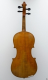 Violine Herwig - hinten