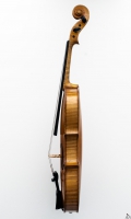 Violine Herwig - rechts
