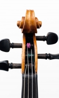 Violine Herwig - Schnecke-vorn