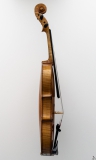Violine Herwig - links