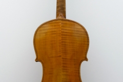 Violine Herwig - hinten