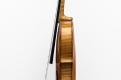 Violine Herwig - rechts