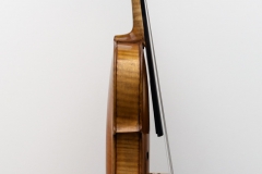 Violine Herwig - links