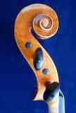 schnecke-bass
