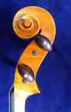 schnecke-seitlich-2