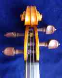 schnecke-vorn