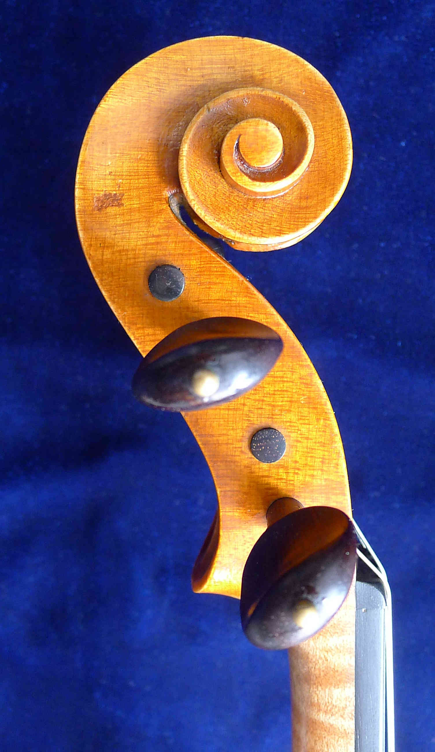 schnecke-seitlich-1