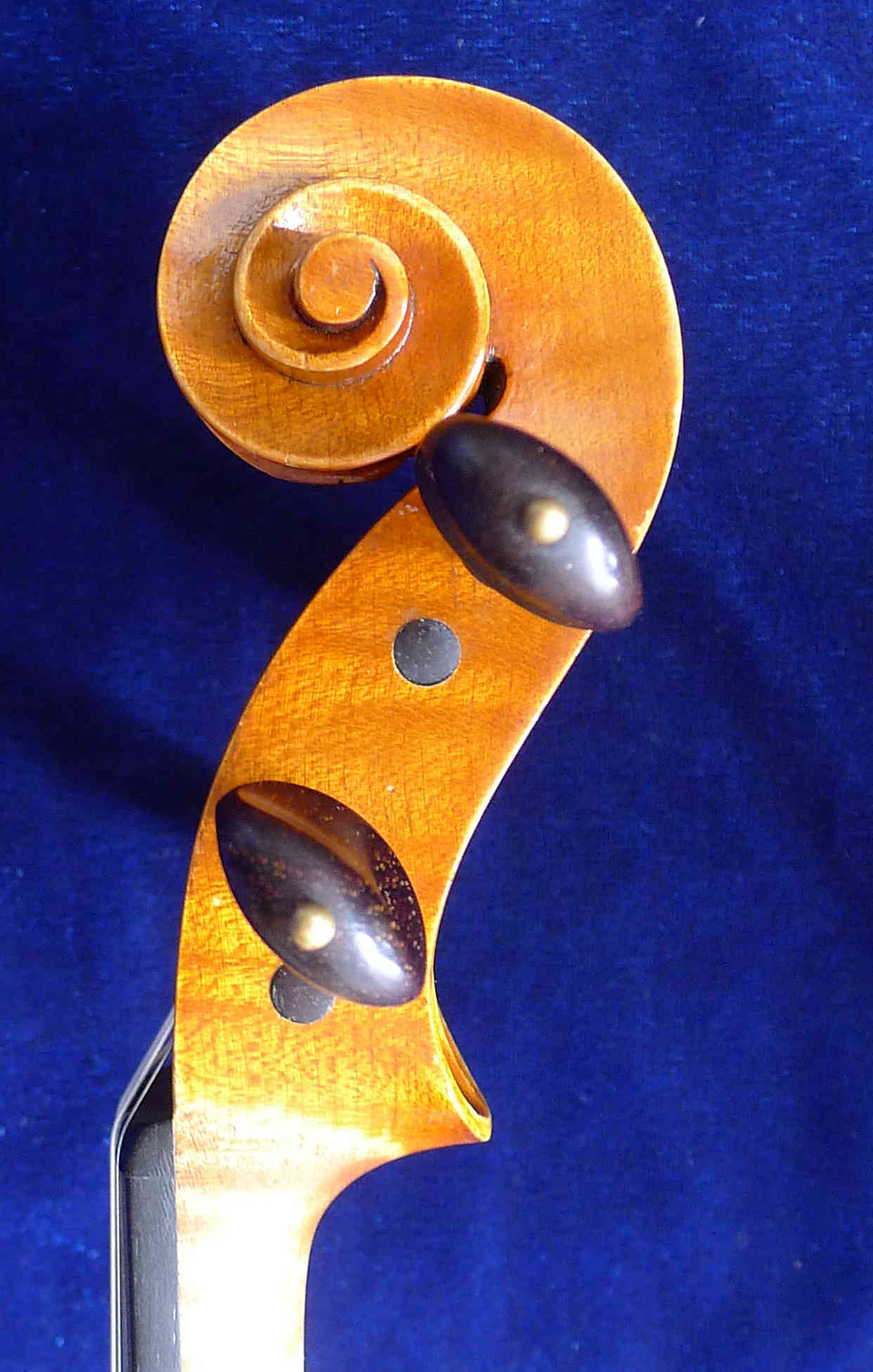 schnecke-seitlich-2