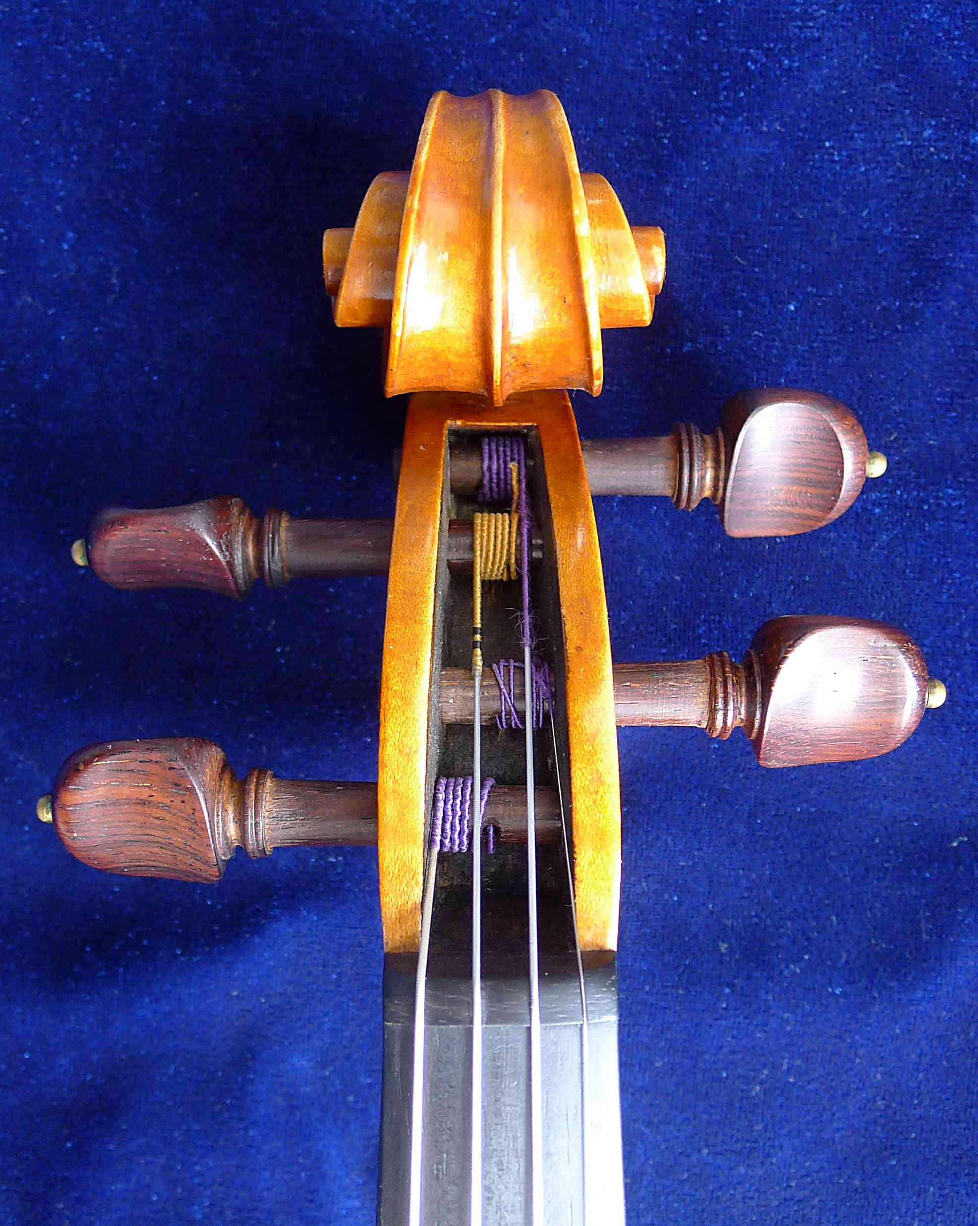 schnecke-vorn