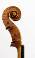 violine_n_guanieri_2014_1 (13 von 13)