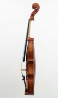 violine_n_guanieri_2014_1 (6 von 13)