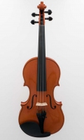 violine_n_amati_meinelgeigen_2005 (1 von 16)