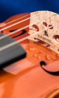 violine_n_amati_meinelgeigen_2005 (12 von 16)