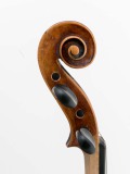 Schnecke seitlich 1 Violine R124