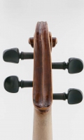Schnecke hinten Violine R124