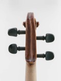 Schnecke hinten Violine R124