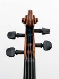 Schnecke vorn Violine R124
