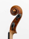 Schnecke seitlich 2 Violine R124