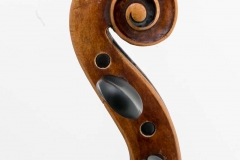 Schnecke seitlich 1 Violine R124
