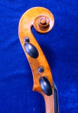 schnecke-1