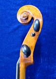 schnecke-2